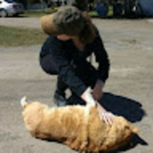 Meet your Posher, Thefreyguy